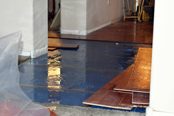 Professional Basement Flood Cleanup technician working in Goodman, WI